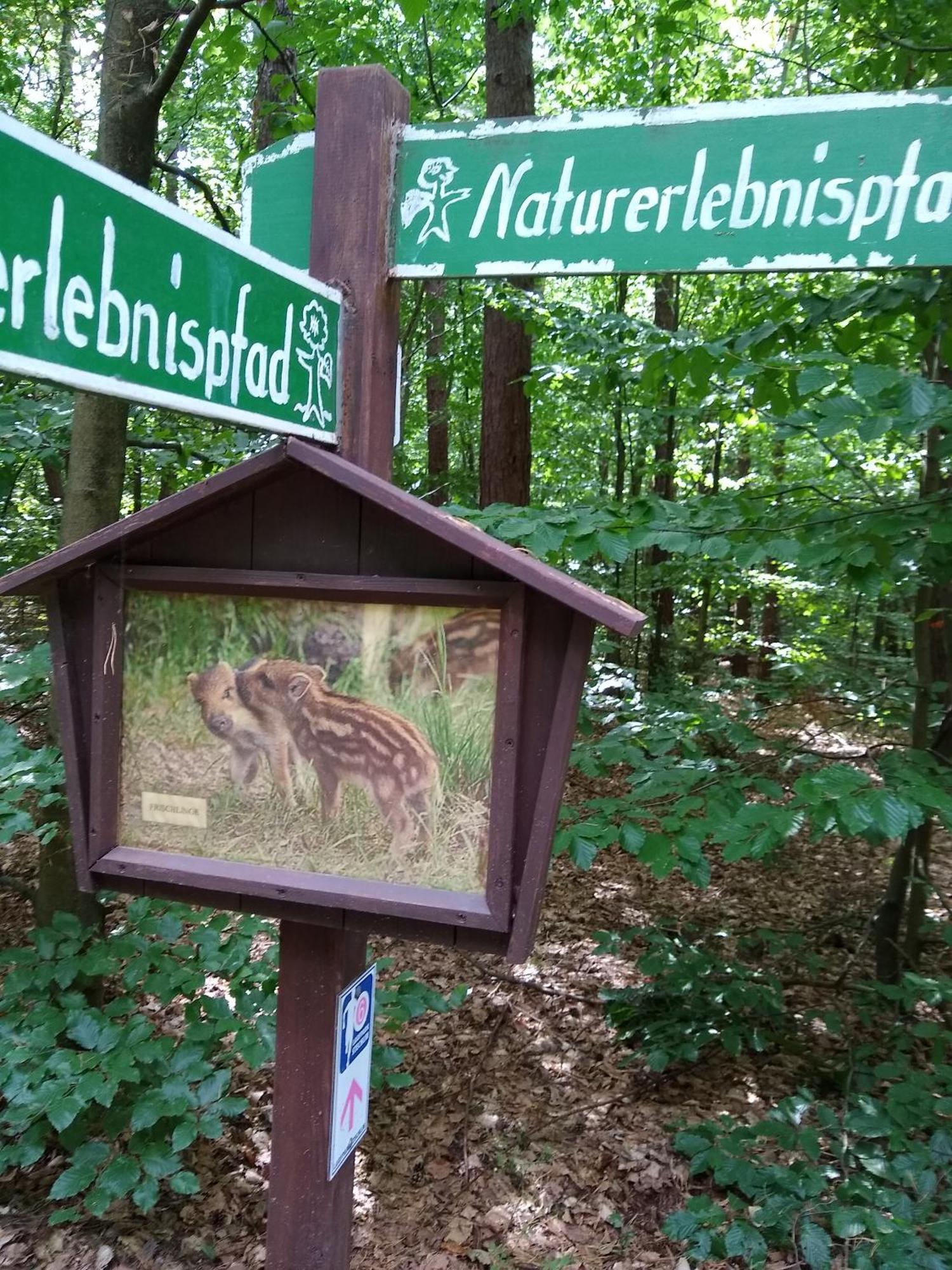 Zwei Seen Ferienhaus 카노프 외부 사진